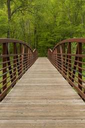 Obraz na płótnie most las drzewa park