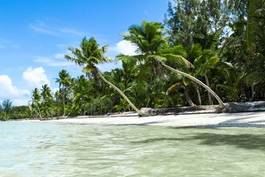 Plakat dominikana plaża niebo karaiby raj
