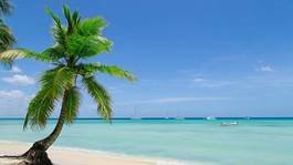 Obraz na płótnie fala południe dominikana tropikalny lato