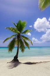 Fotoroleta karaiby malediwy natura tropikalny