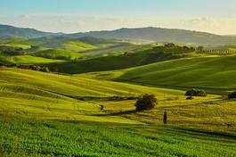 Naklejka spokój włoski rolnictwo krajobraz pejzaż