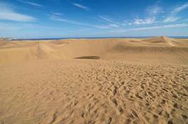 Plakat sand dune desert