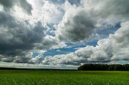 Obraz na płótnie polana niebo las lato panorama