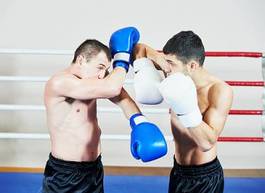 Obraz na płótnie boks sztuka sport