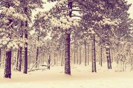 Naklejka drzewa śnieg las