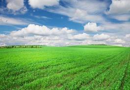 Plakat rolnictwo łąka niebo