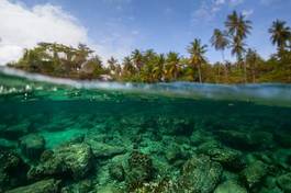 Plakat tropikalny wyspa wybrzeże spokojny fala