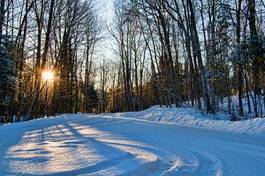 Obraz na płótnie śnieg las droga pejzaż słońce