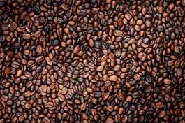 Fototapeta kawa jedzenie mokka kawiarnia rolnictwo