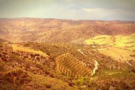 Fotoroleta rolnictwo grecja wieś drzewa