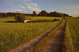 Naklejka ścieżka łąka pole wieś