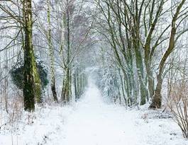 Naklejka śnieg las krajobraz wioska biały