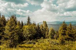 Fotoroleta wzgórze góra trawa natura