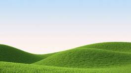 Naklejka trawa rolnictwo lato świeży natura