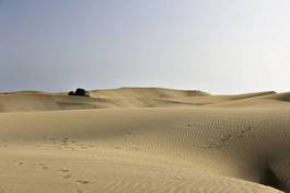 Plakat pustynia wydma lato