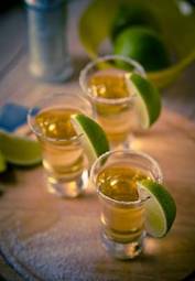 Obraz na płótnie napój sól tequila klin