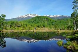 Obraz na płótnie krajobraz las góra azja highland
