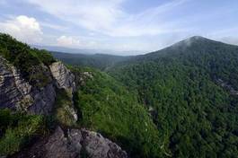 Naklejka góra pejzaż panorama las