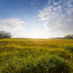 Fototapeta natura panoramiczny niebo łąka