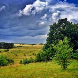 Fotoroleta sztorm drzewa lato wieś łąka