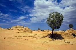 Plakat australia pustynia suchych przeżycie suchy