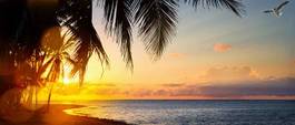 Naklejka piękny palma pejzaż plaża słońce