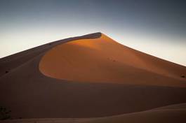 Plakat arabian widok wydma pustynia natura