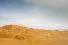 Plakat wydma szczyt oaza panorama