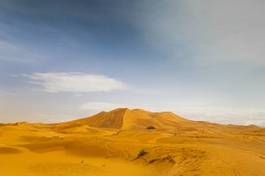 Fototapeta pustynia krzew widok arabian słońce