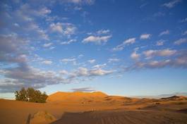 Fotoroleta natura pejzaż pustynia