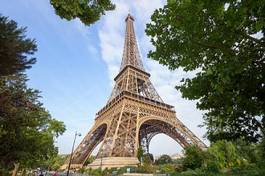 Fototapeta the eiffel tower in paris, france
