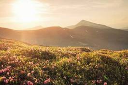 Naklejka pejzaż panoramiczny góra trawa europa