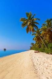 Fotoroleta słońce lato pejzaż wyspa malediwy
