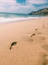 Fotoroleta kalifornia plaża allein oceanu samotność