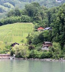 Obraz na płótnie woda lato wzgórze szwajcaria krajobraz