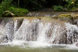 Fototapeta beautiful waterfall in forest