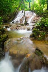 Fototapeta las piękny woda świeży