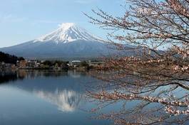 Fotoroleta góra woda japonia