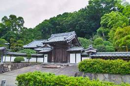 Obraz na płótnie japonia wejście sosna azja stary