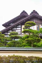 Obraz na płótnie azja sosna wieś japonia orientalne