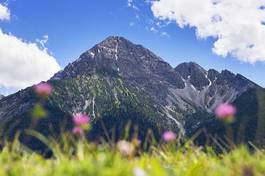 Plakat alpy krajobraz pejzaż las europa