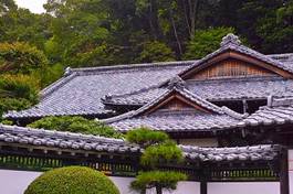 Naklejka japonia orientalne sosna stary