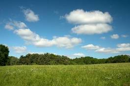Obraz na płótnie łąka pastwisko wzgórze wieś