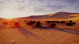 Obraz na płótnie afryka krzew pustynia egipt