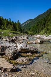 Naklejka las woda natura austria góra
