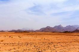 Fotoroleta lifeless hot desert