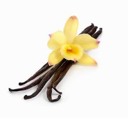 Fotoroleta kwiat storczyk wanilia roślina natura
