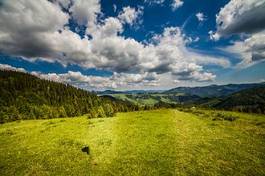 Obraz na płótnie lato austria panorama koń