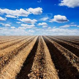 Plakat rolnictwo wieś niebo trawa pejzaż