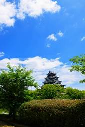 Fotoroleta japonia zamek stary lato